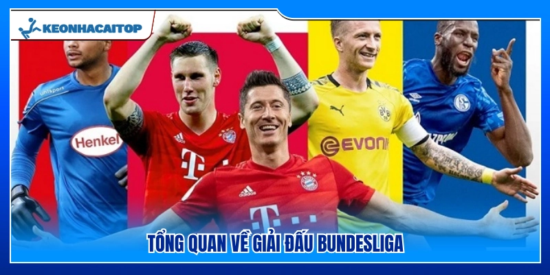 Giới thiệu về giải Bundesliga 