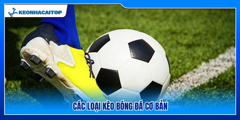 Các loại kèo cơ bản mà người chơi thường gặp