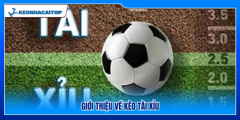 Tổng quan về hình thức kèo tài xỉu bóng đá