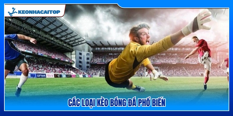 Một vài loại kèo bóng đá thông dụng